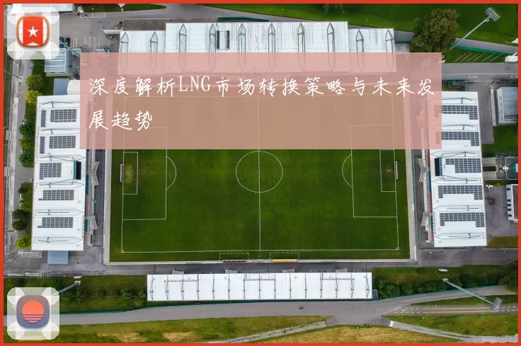 深度解析LNG市场转换策略与未来发展趋势