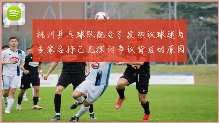 杭州乒乓球队配合引发热议球迷与专家各抒己见探讨争议背后的原因MBA