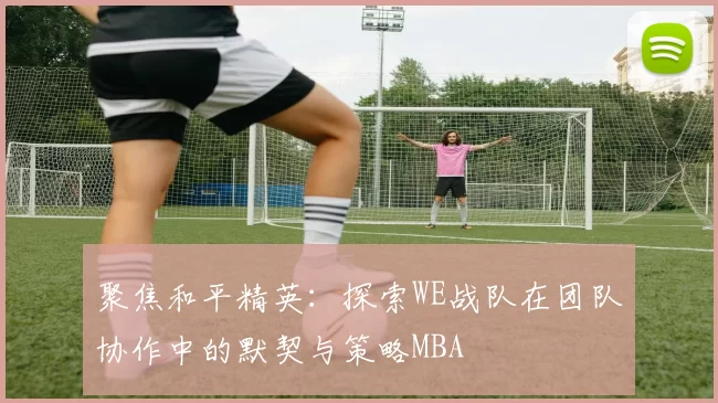 聚焦和平精英：探索WE战队在团队协作中的默契与策略MBA
