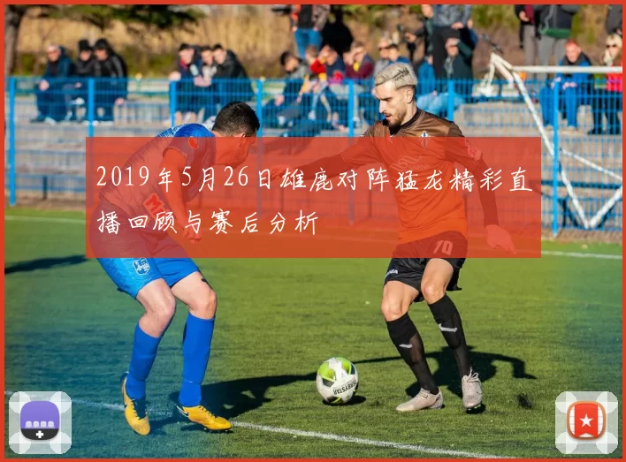 2019年5月26日雄鹿对阵猛龙精彩直播回顾与赛后分析