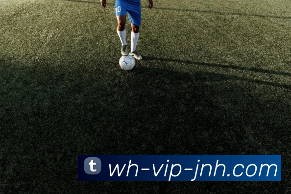 jnh今年会发展历程